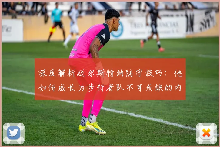深度解析迈尔斯特纳防守技巧：他如何成长为步行者队不可或缺的内线支柱与盖帽王？